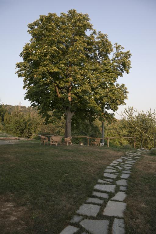 Vila Crealto Alfiano Natta Exteriér fotografie