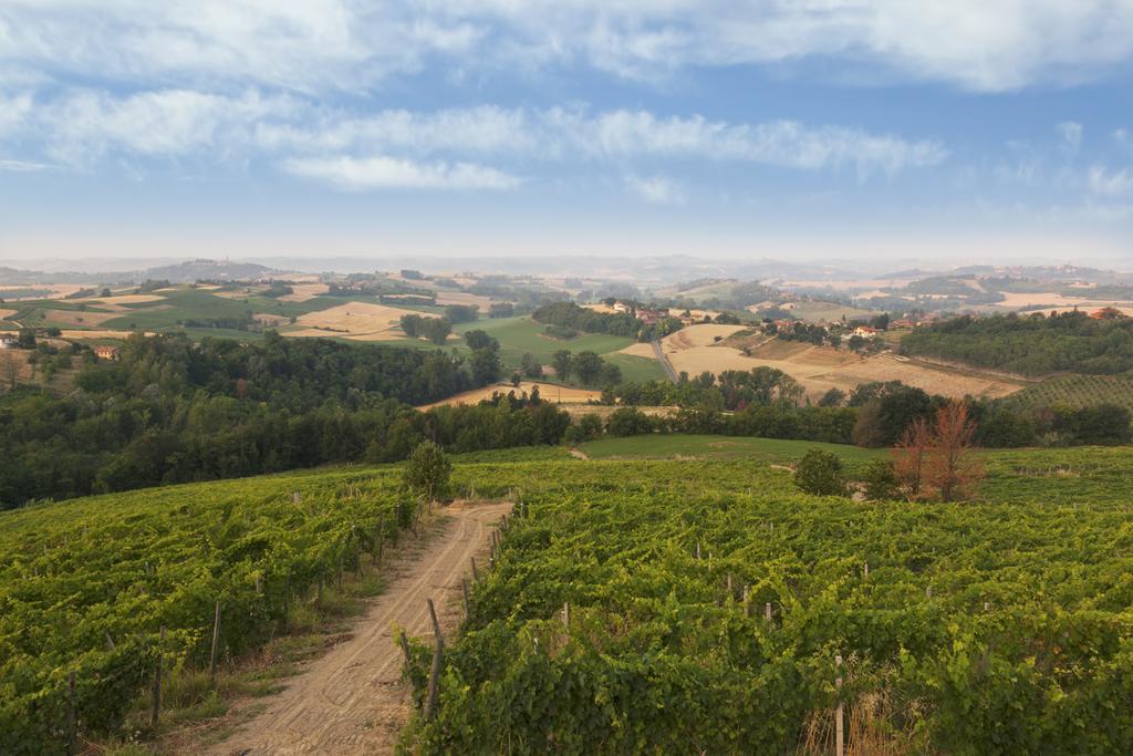 Vila Crealto Alfiano Natta Exteriér fotografie