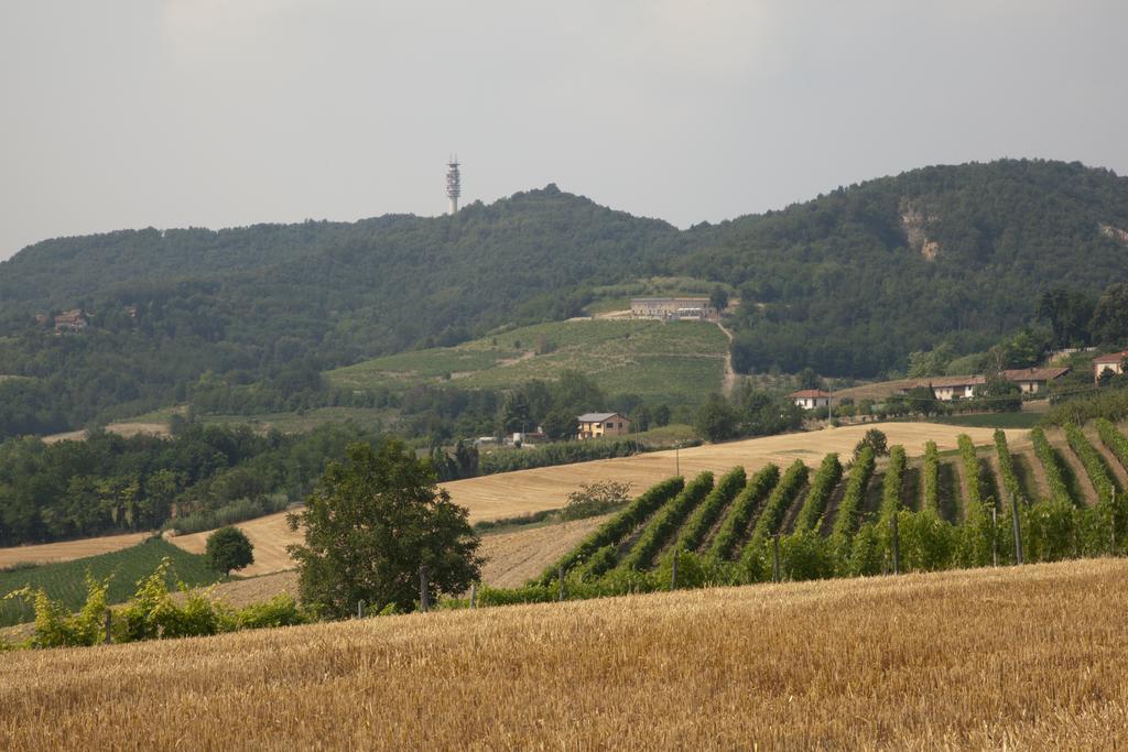 Vila Crealto Alfiano Natta Exteriér fotografie